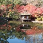二の丸から西之丸庭園を望む