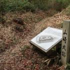 登城口。南辺の横堀を通って奥へ