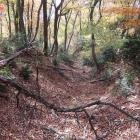 南西下の二条の竪堀（南西下側）