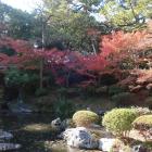 西之丸庭園（上の池側）
