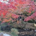 紅葉の神池。この脇から前山