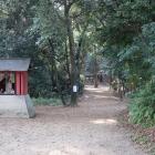 菅原神社社叢林。奥に主郭切岸が見える