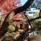 西之丸庭園（鳶魚閣）