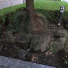 植え込みの中にも