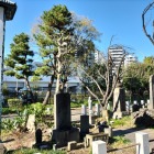 目立つ立て看板