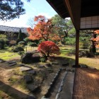 奥座敷から庭園を望む