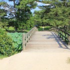 渡り橋と蓮池