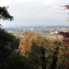 鐘堂からの名古屋西方面の眺望
