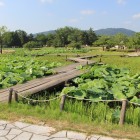 周辺の水堀、沼、蓮池
