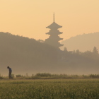 朝靄の中の備中国分寺五重塔