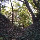 主郭下の堀