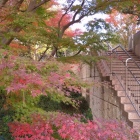 御殿山庭園への階段