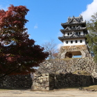 模擬天守(大天守台)