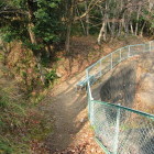 西尾根の堀切と土橋?