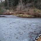 池は凍ってた！