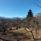 馬場跡から富士山