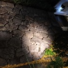 こういうライトアップは…