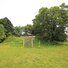 本丸、天守台、神社が鎮座