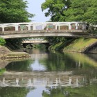 北側の水堀、松川と橋群、両岸は桜