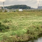 鶴見川から望む小机城