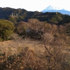 主郭から善福寺曲輪越しに富士山