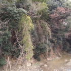 自然の堀となる山切川