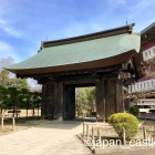 薬医門
