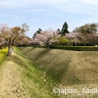 見事に復元された馬出