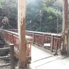 猿のかずら橋