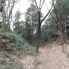 堀切跡
