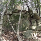 主郭東下の自然石、一部石積