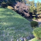 土塁