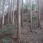 北西尾根の曲輪群の切岸