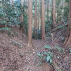 北西尾根の曲輪群の堀切（南から二条目）