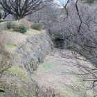 千鳥ヶ淵さんぽ道