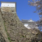 備中櫓、続土塀の高い石垣の扇形が美しい