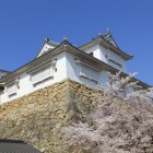 備中櫓を二の丸下より
