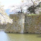 北出丸石垣と堀、桜