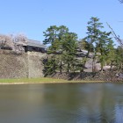 内濠越しに中櫓、太鼓櫓、高石垣眺める
