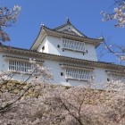 備中櫓を二の丸下より