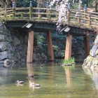 日本庭園の木橋、春は桜、秋は紅葉