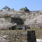 ビューポイント、三ノ丸南東辺り？より