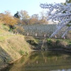 北西側、薬研堀と桜、石垣