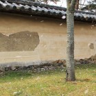 桜吹雪を築地塀と