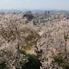 三階櫓台より鳥取市街を眺める