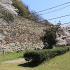 右膳ノ丸より二ノ丸拡張部石垣を見る