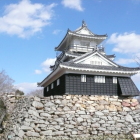 模擬天守閣、西に八幡台、東に付櫓台