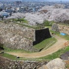 二ノ丸表御門櫓台と桜、天球丸より