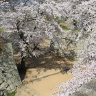 本丸枡形虎口、切手門辺り？