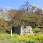 裏中門の横辺り？菜花を入れて